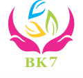 bk7logo